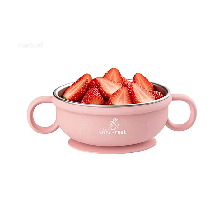 Stainless Steel and Silicone Suction Bowl