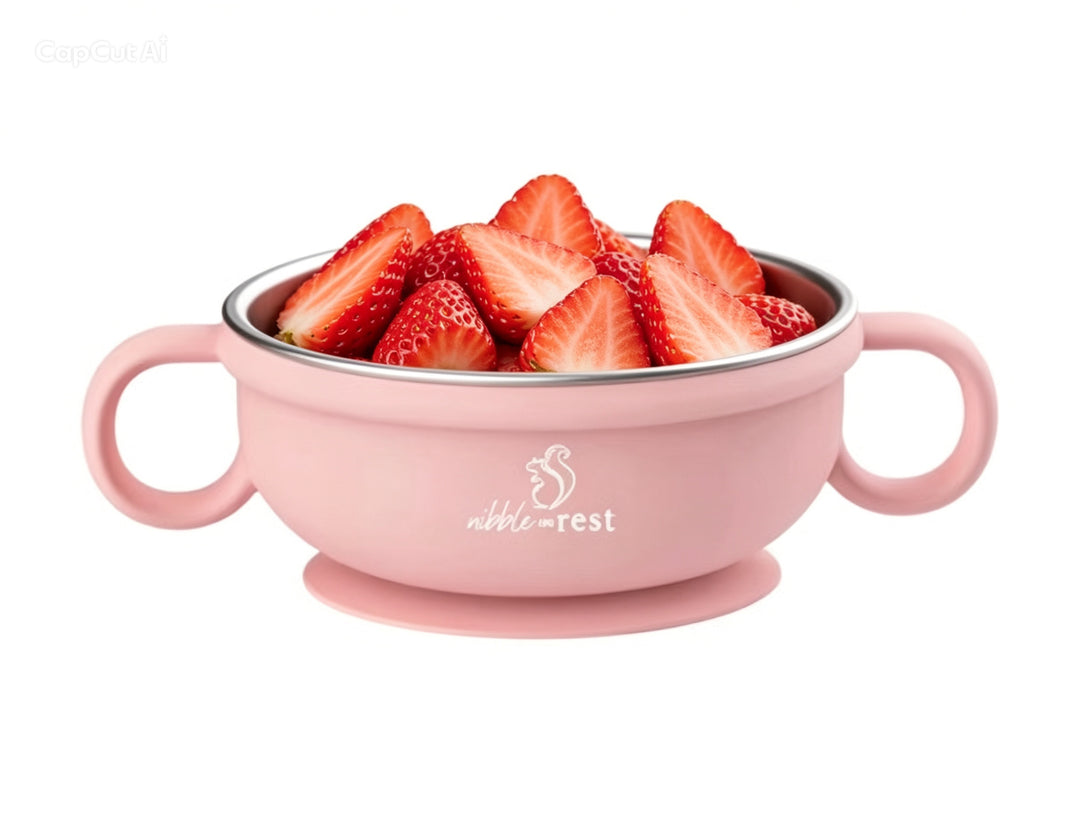 Stainless Steel and Silicone Suction Bowl